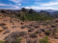 Mirador Roque Nublo